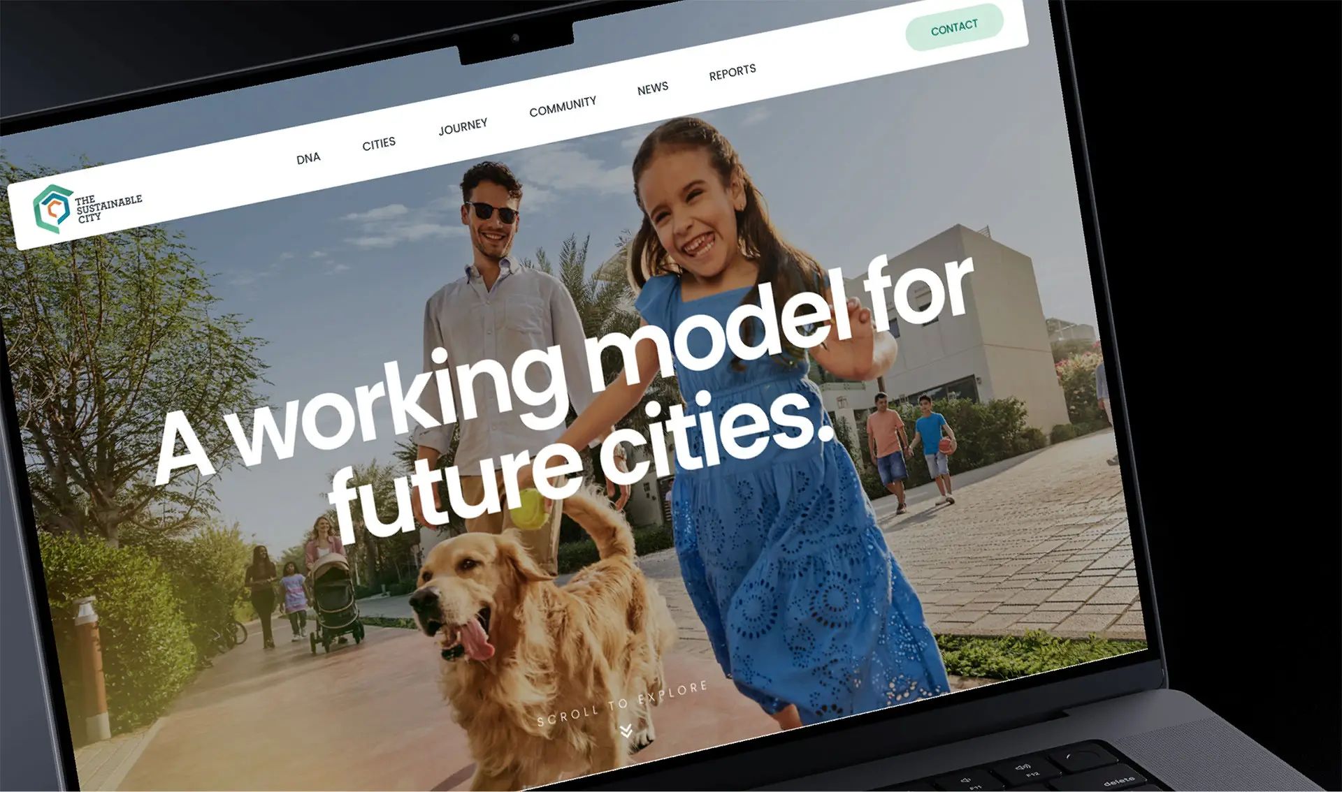 Web Design company Abu Dhabi