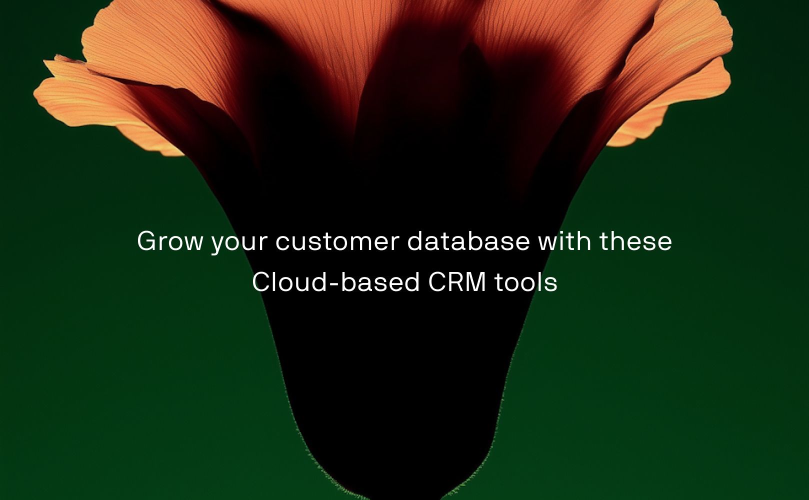 best crm tool for small business